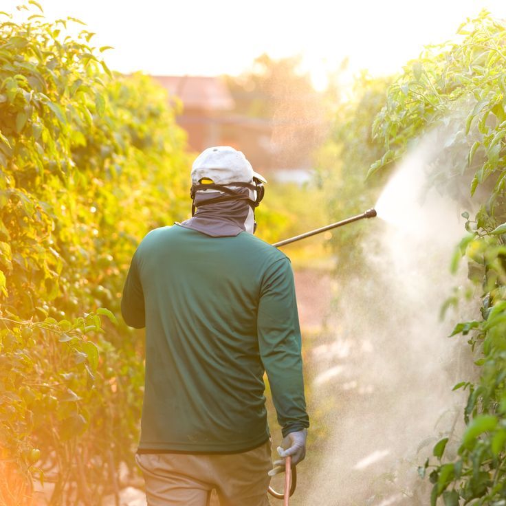 Farm image